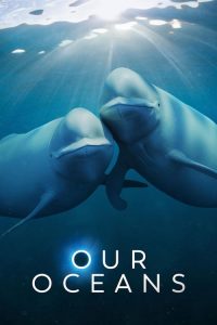 我们的海洋 poster