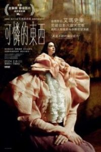 可怜的东西 poster