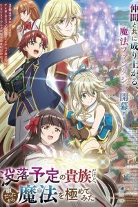 虽然我是注定没落的贵族，闲来无事只好来深究魔法 poster