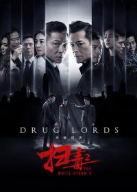 扫毒2：天地对决 poster