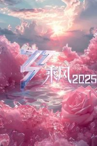 乘风2025 poster
