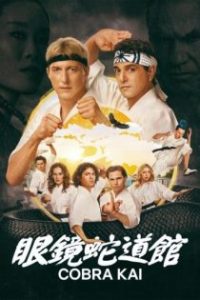 Cobra Kai poster