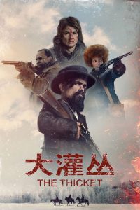 大灌丛 poster