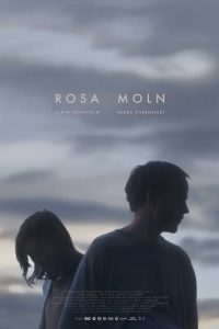 Rosa moln poster