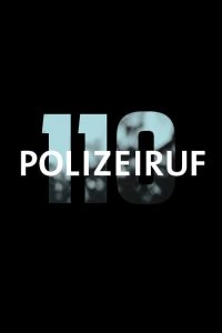 匪警110 poster