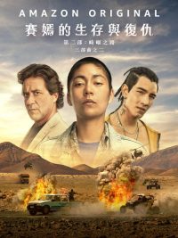 萨扬：沙漠之路 poster