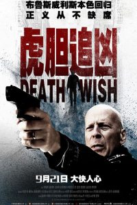 虎胆追凶 poster