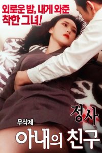 情事：妻子的朋友2 poster