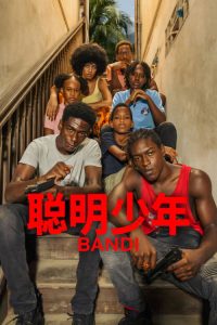 聪明少年 poster