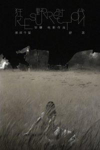 狂野时代 poster