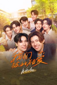 我们彼此相爱 poster