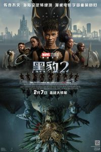 黑豹2 poster