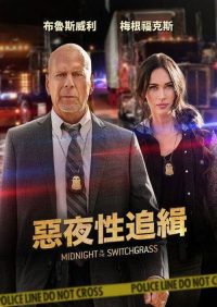 午夜的柳枝 poster