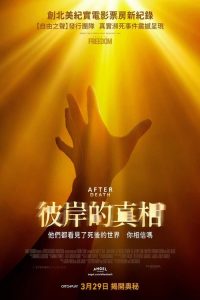 彼岸的真相 poster