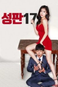 性板17：男人的17种性幻想 poster