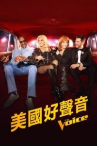 美国好声音 poster