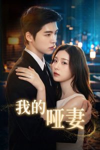 我的哑妻 poster