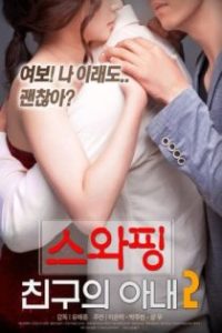 交换：朋友的妻子2 poster