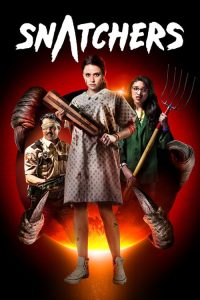 掠夺者 poster