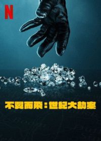 不翼而飞：世纪大劫案 poster