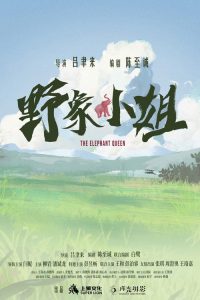 野象小姐 poster