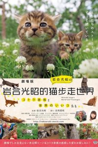 岩合光昭的猫步走世界 poster