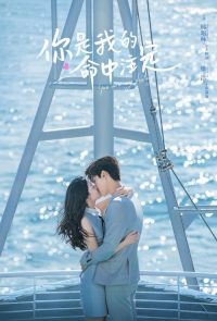你是我的命中注定 poster