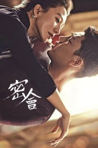 密会 poster