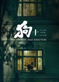 狗十三 poster