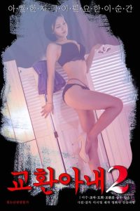 交换妻子2 poster