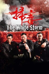 扫毒 poster