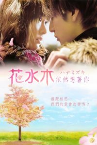 花水木 poster
