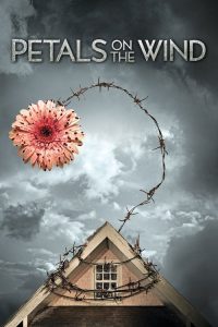 风中的花瓣 poster