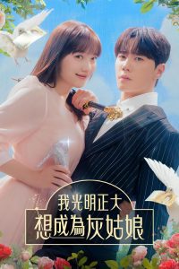 我公然梦想成为灰姑娘 poster