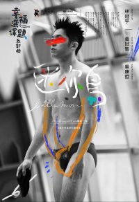 幸福选择题五部曲 - 迷你鸟 poster