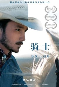 骑士 poster