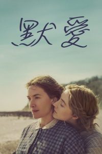 菊石 poster