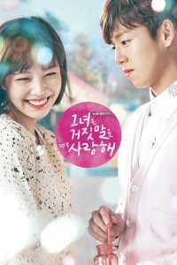 她爱上了我的谎 poster