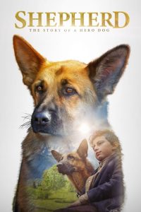 战地灵犬 poster
