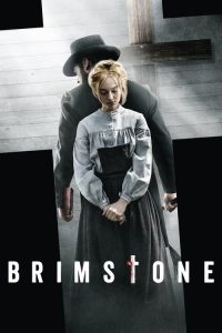 悍女 poster