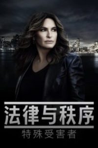 法律与秩序：特殊受害者 poster