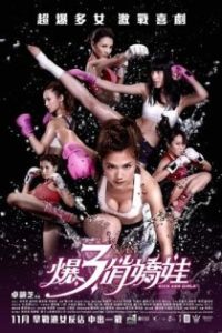 霹雳囧花 poster