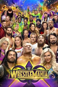 WWE 摔角狂热 34 poster