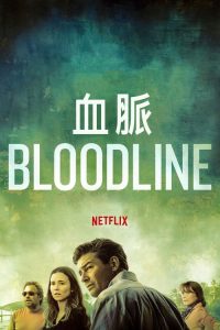 血脉 poster