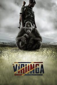 维龙加 poster