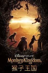 猴子王国 poster