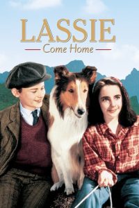 灵犬莱西 poster