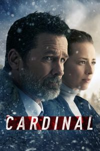 冰雪缉凶 poster