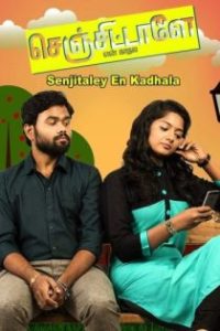 செஞ்சிட்டாளே என் காதல poster