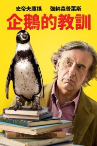企鹅课 poster